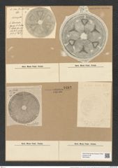 Actinoptychus heterostrophus A. Schm. (de-Toni-Nr.: Genus 227, Species 5585) Zeichnungen Sammlung Grunow Nr. 9482 (NHMW-BOT-W0379453)